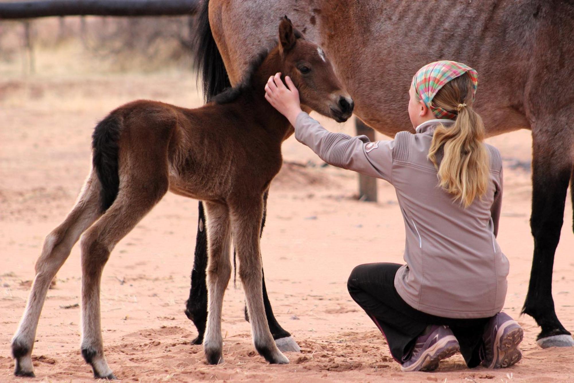 The Farm Life - Namibia Appartement Maltahohe Buitenkant foto